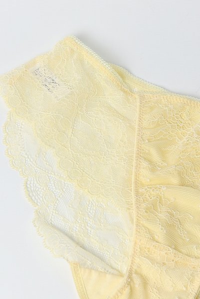 画像5: AMARELO brief  | ノーマルショーツ・ブリーフ・イエロー | Sawren サブレン (5)