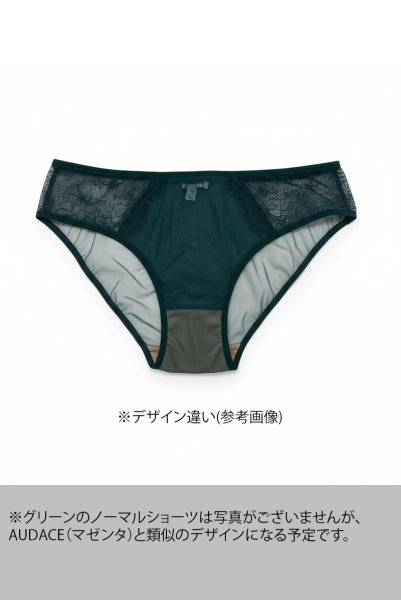 画像1: 【予約受付中】FOREST brief  | ノーマルショーツ・ブリーフ・グリーン | Sawren サブレン｜輸入下着・高級ランジェリー  (1)
