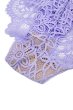 画像6: PROVENCE brief  | ノーマルショーツ・パープル | Sawren サブレン【即日発送・サイズ交換NG・メール便対象】輸入下着・高級ランジェリー  (6)