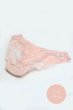 画像4: 【予約】PLUME brief  | ノーマルショーツ・ピンク | Sawren サブレン【サイズ交換NG・メール便対象】輸入下着・高級ランジェリー  (4)