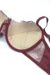 画像6: 【予約】RUBY push  | 3/4カップ・ワイヤーブラ・ワインレッド | Sawren サブレンインポート・輸入下着・高級ランジェリー  (6)