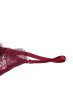 画像5: 【予約】RUBY-G-string  | Gストリングショーツ・Ｔバック・ワインレッド | Sawren サブレン輸入下着・高級ランジェリー  (5)