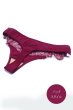 画像4: 【予約】RUBY thong  | タンガ・Ｔバック・ワインレッド | Sawren サブレン輸入下着・高級ランジェリー  (4)