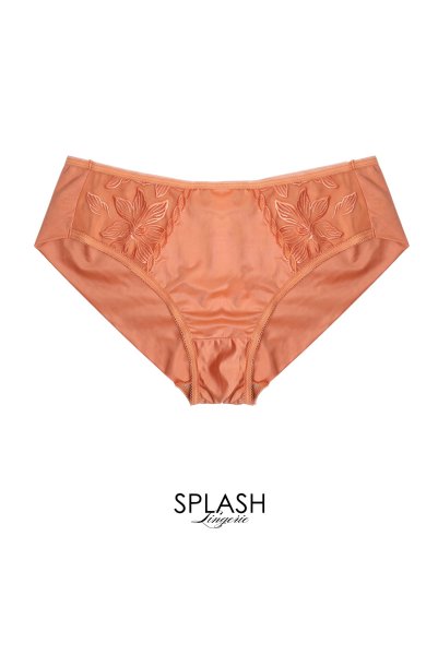 画像1: 【予約】FELINE brief  | ノーマルショーツ・テラコッタ | Sawren サブレン輸入下着・高級ランジェリー  (1)