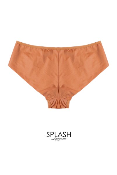 画像2: 【予約】FELINE brief  | ノーマルショーツ・テラコッタ | Sawren サブレン輸入下着・高級ランジェリー  (2)
