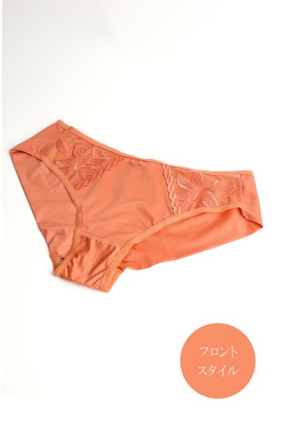 画像3: 【予約】FELINE brief  | ノーマルショーツ・テラコッタ | Sawren サブレン輸入下着・高級ランジェリー  (3)