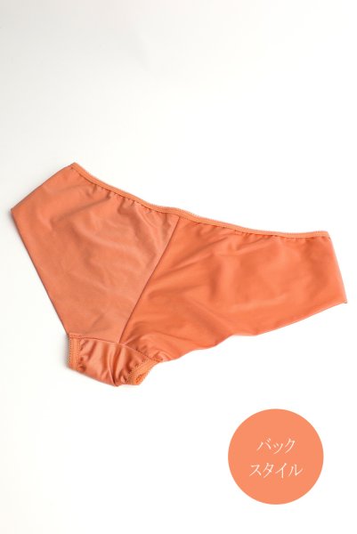 画像4: 【予約】FELINE brief  | ノーマルショーツ・テラコッタ | Sawren サブレン輸入下着・高級ランジェリー  (4)