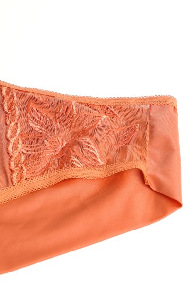 画像5: 【予約】FELINE brief  | ノーマルショーツ・テラコッタ | Sawren サブレン輸入下着・高級ランジェリー  (5)