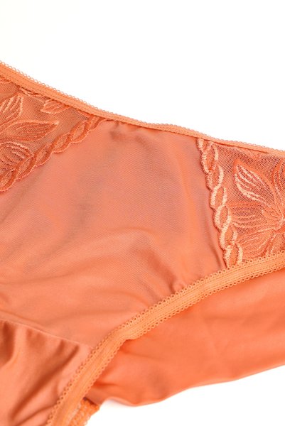 画像6: 【予約】FELINE brief  | ノーマルショーツ・テラコッタ | Sawren サブレン輸入下着・高級ランジェリー  (6)