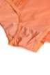 画像7: 【予約】FELINE brief  | ノーマルショーツ・テラコッタ | Sawren サブレン輸入下着・高級ランジェリー  (7)