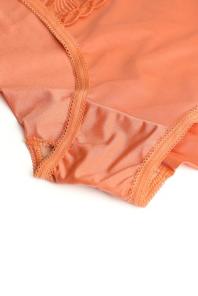 画像7: 【予約】FELINE brief  | ノーマルショーツ・テラコッタ | Sawren サブレン輸入下着・高級ランジェリー  (7)