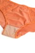 画像9: 【予約】FELINE brief  | ノーマルショーツ・テラコッタ | Sawren サブレン輸入下着・高級ランジェリー  (9)