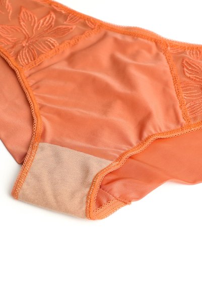 画像9: 【予約】FELINE brief  | ノーマルショーツ・テラコッタ | Sawren サブレン輸入下着・高級ランジェリー  (9)