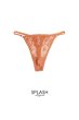 画像1: 【予約】FELINE-G-string  |  Gストリングショーツ・Ｔバック・テラコッタ | Sawren サブレン輸入下着・高級ランジェリー  (1)