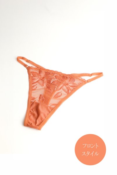 画像3: 【予約】FELINE-G-string  |  Gストリングショーツ・Ｔバック・テラコッタ | Sawren サブレン輸入下着・高級ランジェリー  (3)