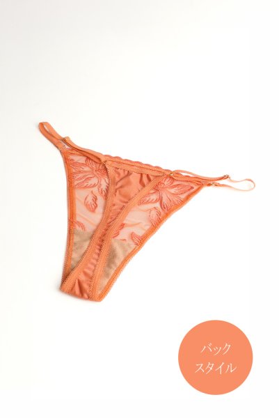 画像4: 【予約】FELINE-G-string  |  Gストリングショーツ・Ｔバック・テラコッタ | Sawren サブレン輸入下着・高級ランジェリー  (4)