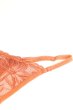 画像5: 【予約】FELINE-G-string  |  Gストリングショーツ・Ｔバック・テラコッタ | Sawren サブレン輸入下着・高級ランジェリー  (5)