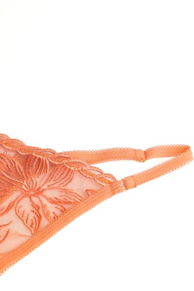 画像5: 【予約】FELINE-G-string  |  Gストリングショーツ・Ｔバック・テラコッタ | Sawren サブレン輸入下着・高級ランジェリー  (5)