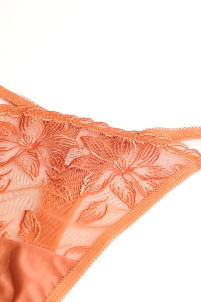画像6: 【予約】FELINE-G-string  |  Gストリングショーツ・Ｔバック・テラコッタ | Sawren サブレン輸入下着・高級ランジェリー  (6)