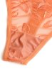 画像7: 【予約】FELINE-G-string  |  Gストリングショーツ・Ｔバック・テラコッタ | Sawren サブレン輸入下着・高級ランジェリー  (7)