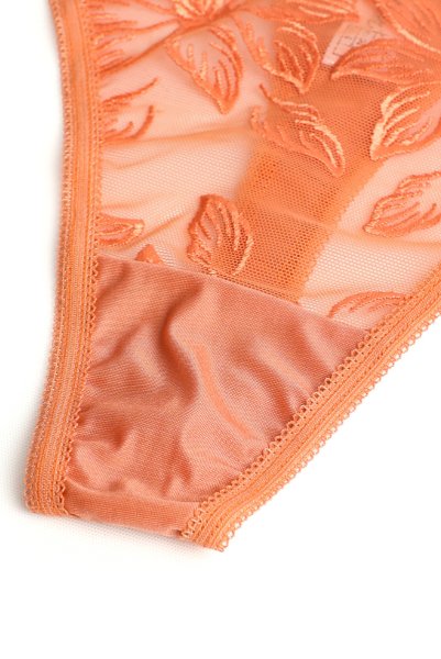 画像7: 【予約】FELINE-G-string  |  Gストリングショーツ・Ｔバック・テラコッタ | Sawren サブレン輸入下着・高級ランジェリー  (7)