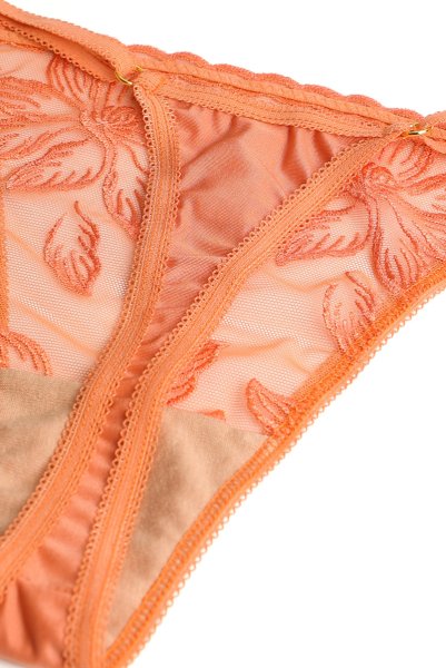 画像8: 【予約】FELINE-G-string  |  Gストリングショーツ・Ｔバック・テラコッタ | Sawren サブレン輸入下着・高級ランジェリー  (8)