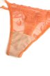 画像9: 【予約】FELINE-G-string  |  Gストリングショーツ・Ｔバック・テラコッタ | Sawren サブレン輸入下着・高級ランジェリー  (9)