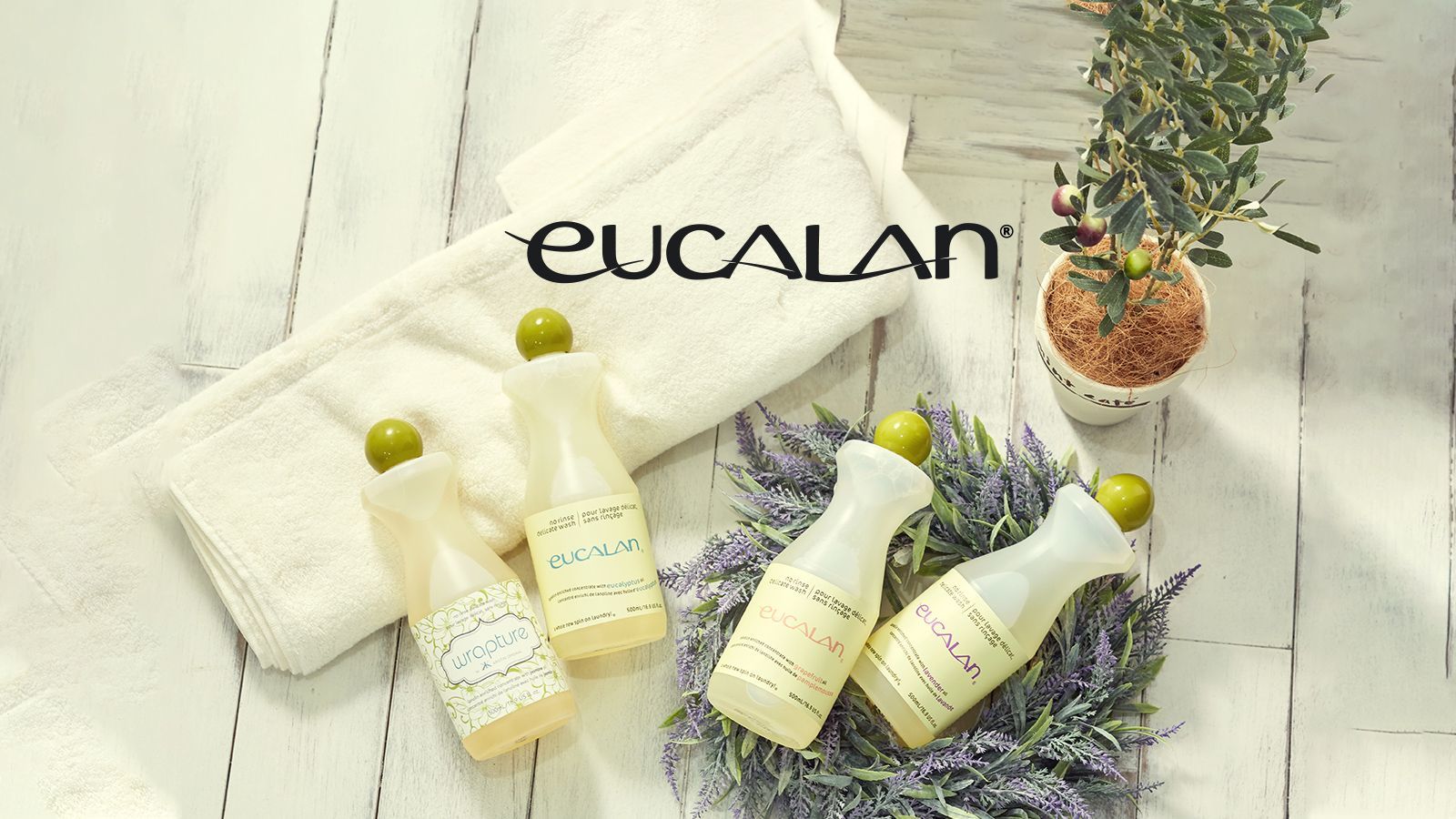 ランジェリーお手入れグッズ